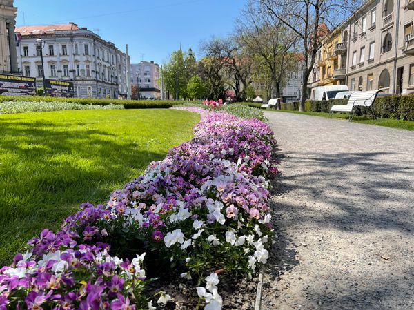 Kunst und Kultur in Osijek