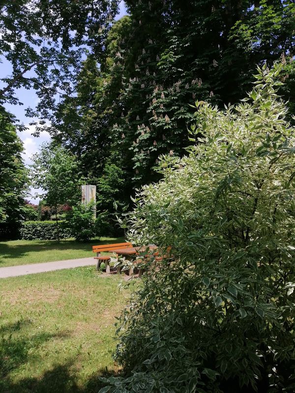 Aktivsein und Spaß im Freien mit Calisthenics