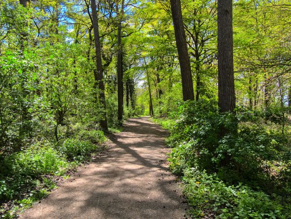 Naturerlebnis im Eschweiler Stadtwald