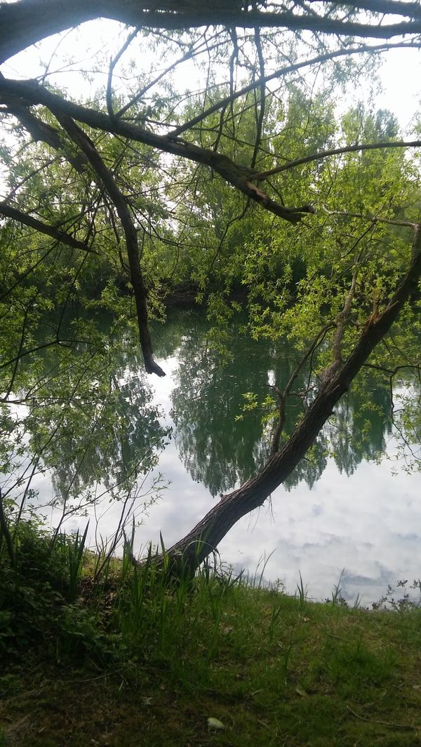 Ruhe und Natur am malerischen Kiesteich genießen