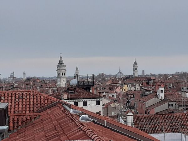 Panoramablick über die Dächer Venedigs