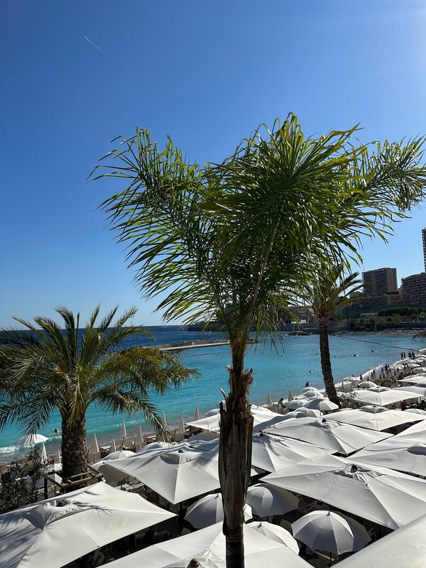 Sonnenbaden und Entspannen am Stadtstrand