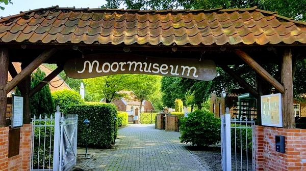 Spannende Einblicke in die Moorlandschaften