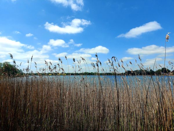 Naturerlebnis an der Pönitzer Seenplatte