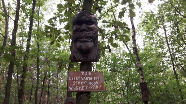 Natur hautnah erleben im Barfußpark