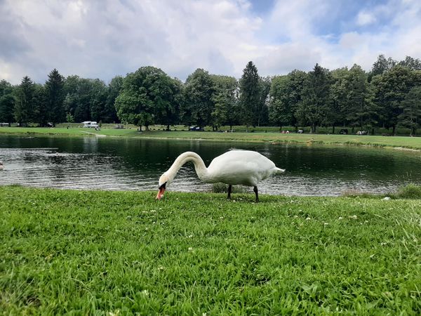 Familienfreundliches Seebad entdecken