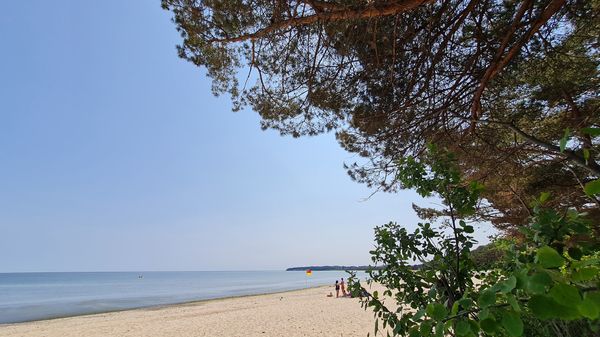 Bulli Festival am Strand