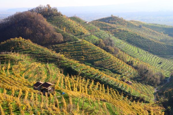 Weinprobe in den Prosecco Hügeln