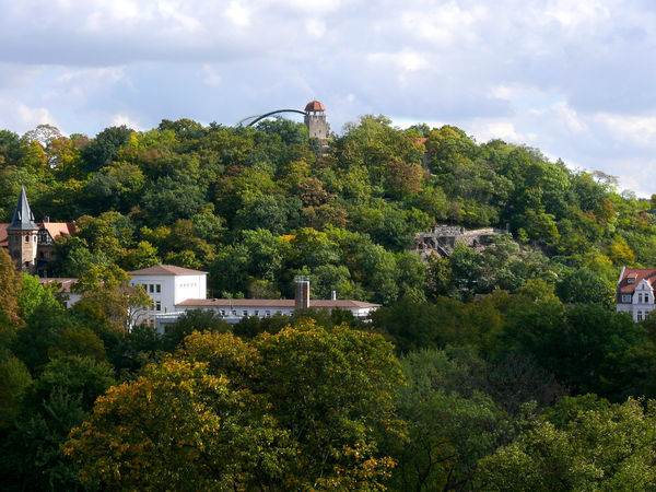 Tierische Abenteuer und atemberaubende Aussichten auf einem Berg