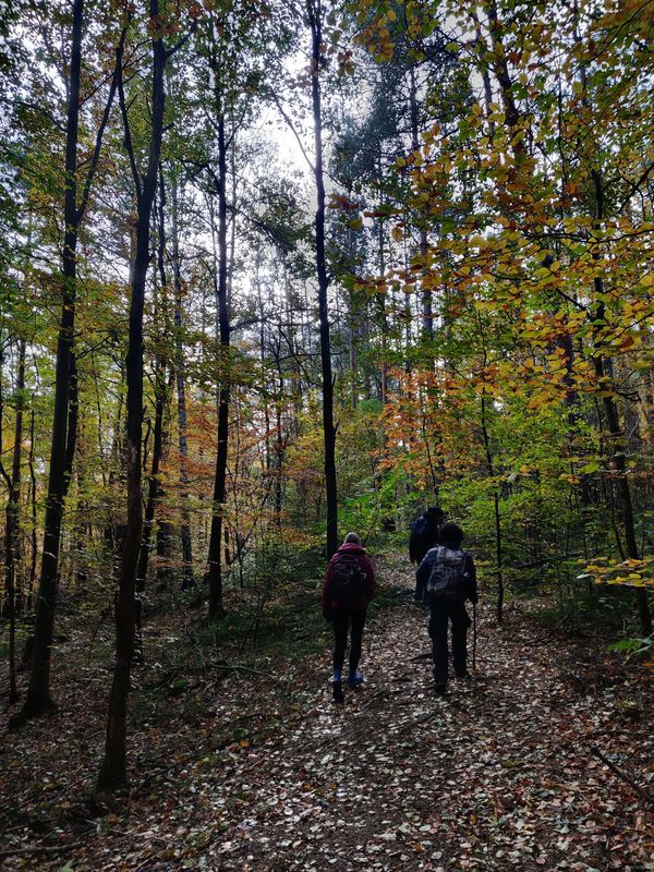 Natur pur am Stadtrand