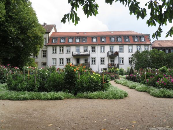 Farbenpracht im versteckten Garten