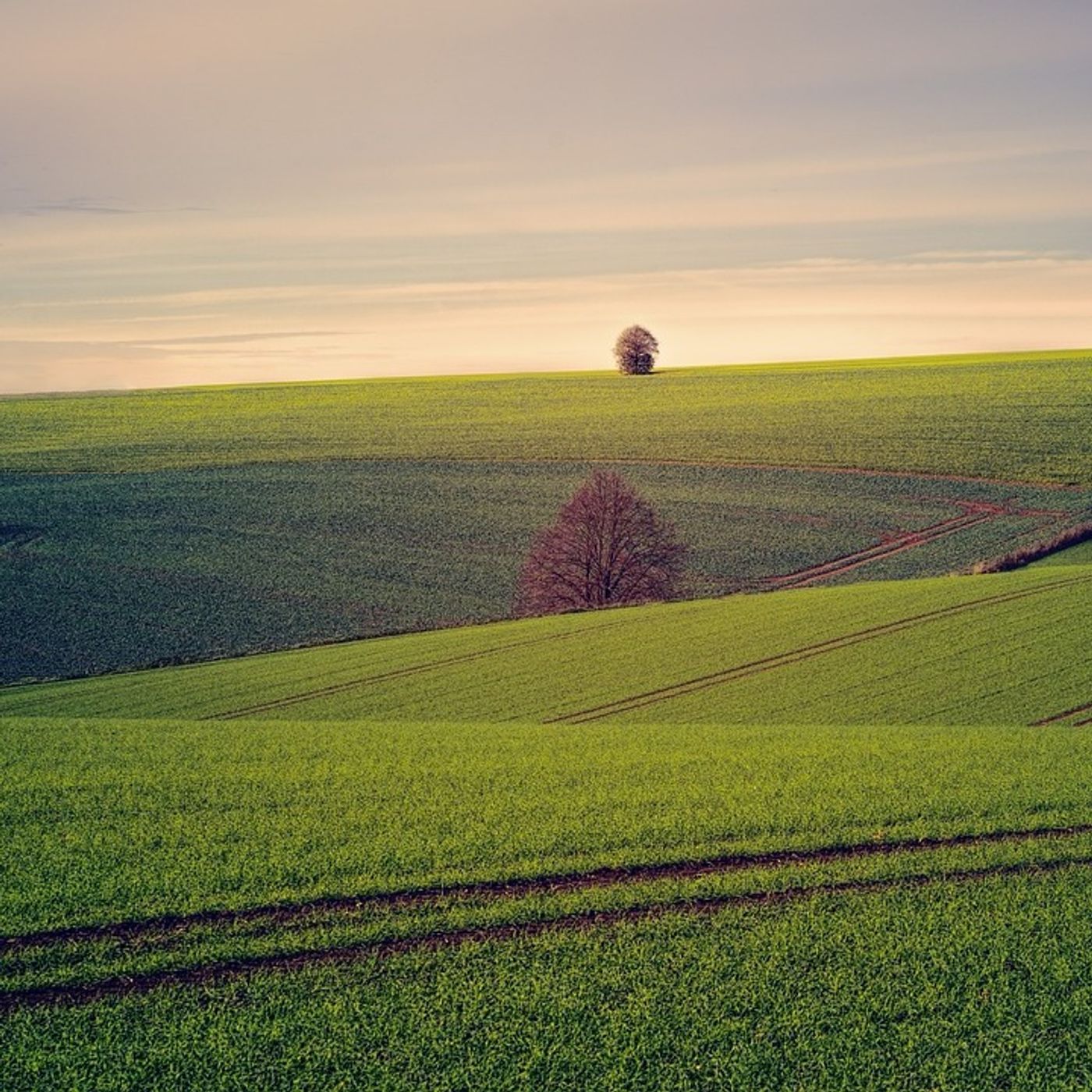 Lower Saxony