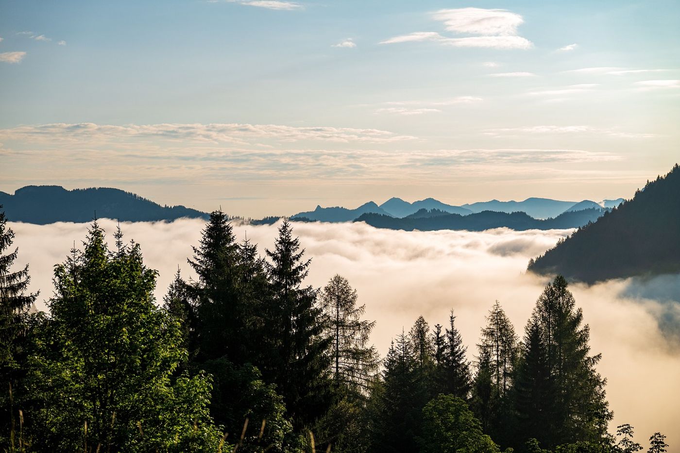 Entdecke
Bayern in seiner schönsten Form.