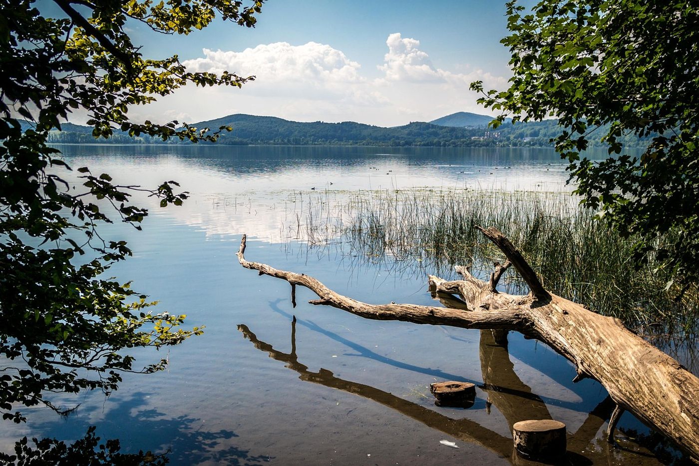 Entdecke
den größten See in Rheinland-Pfalz.