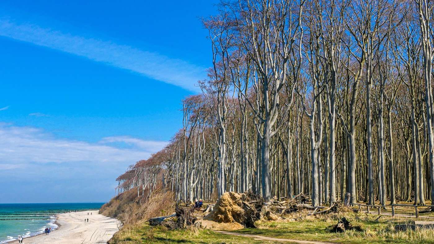 Entdecke
dein Stück
des Ostseebads.