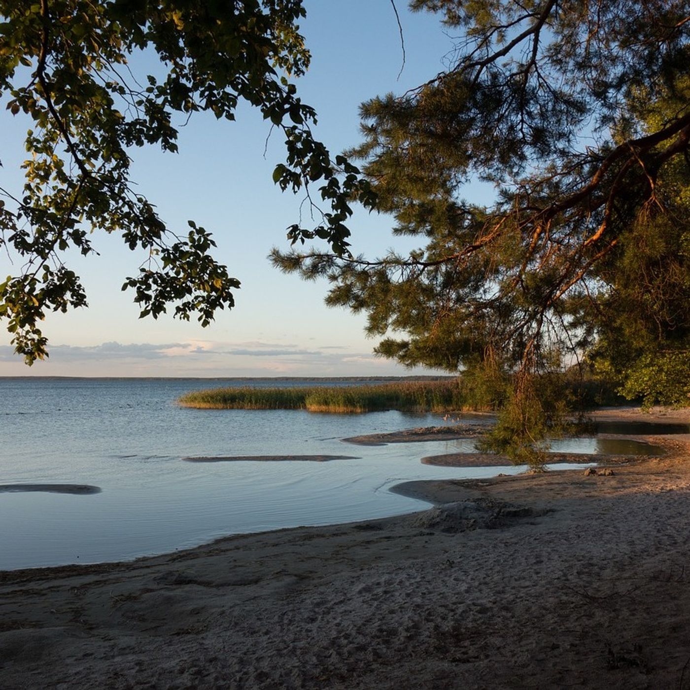 Mecklenburg-Vorpommern