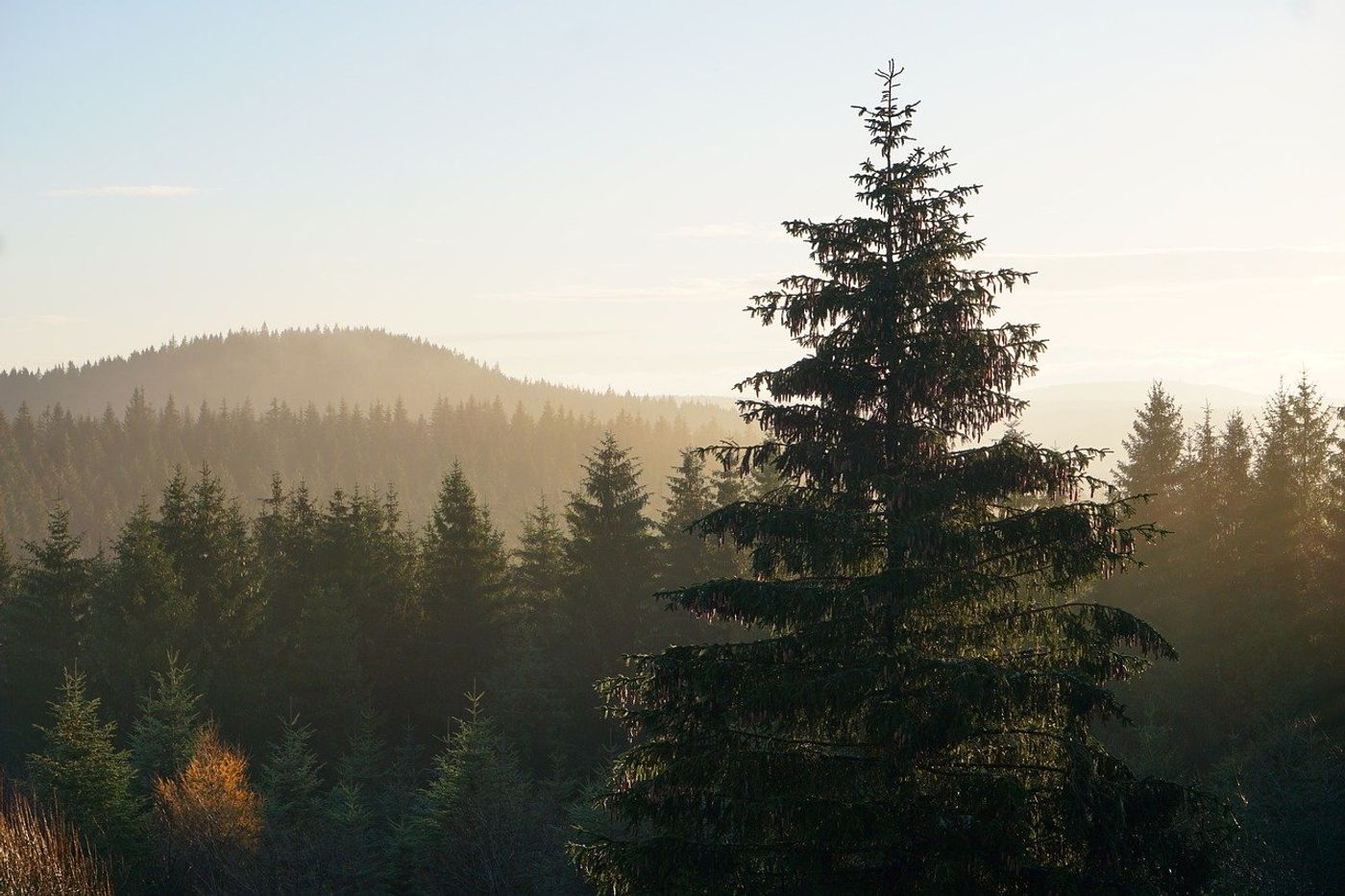 Entdecke
das nationale Naturmonument.