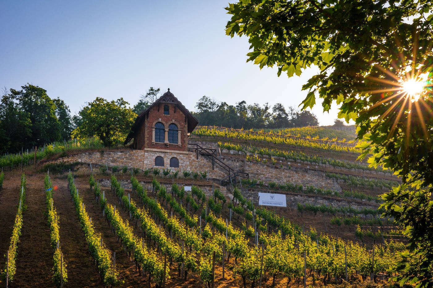 Entdecke
das sonnenreiche Weinanbaugebiet.