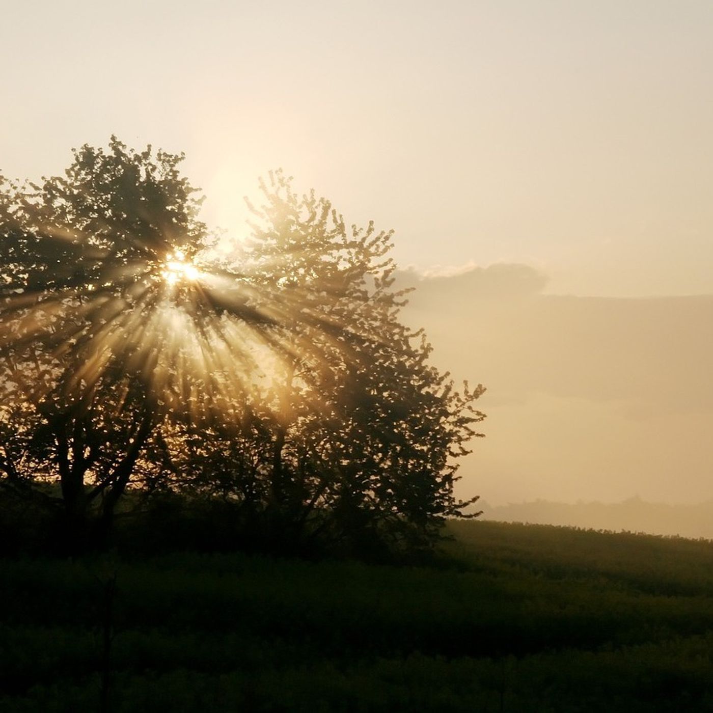 Mecklenburgische Schweiz