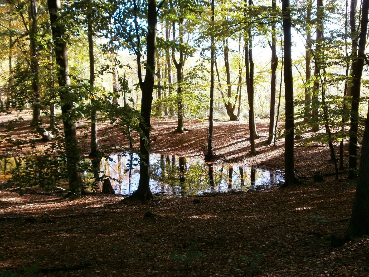 Entdecke
weite Wälder und klare Seen.