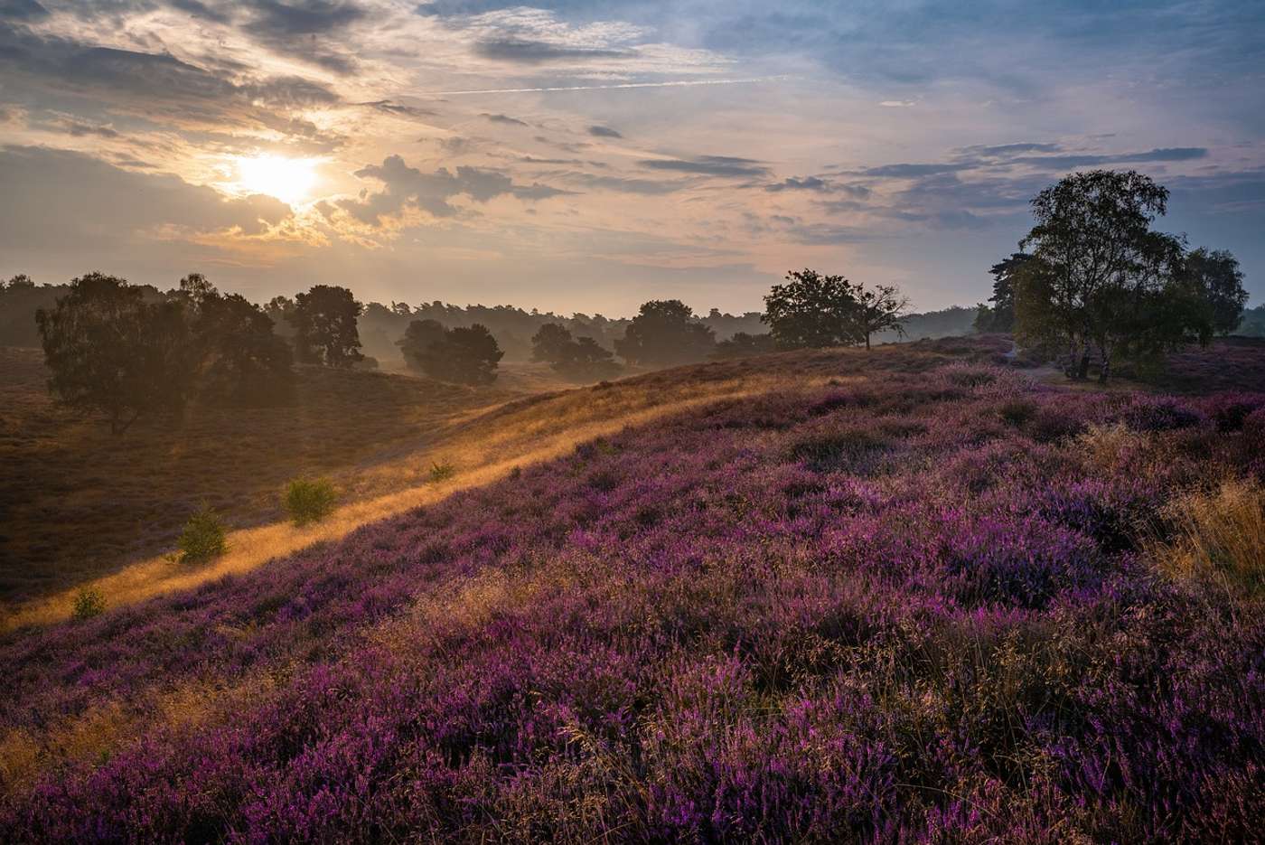 Entdecke
weite Landschaften.