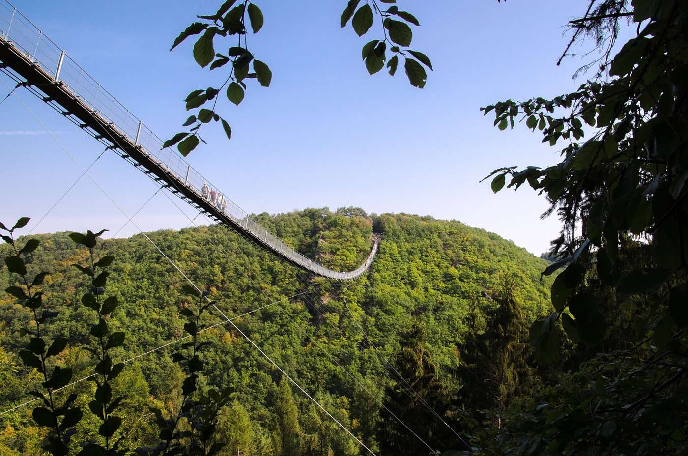 Entdecke
den Nationalpark Hunsrück-Hochwald.