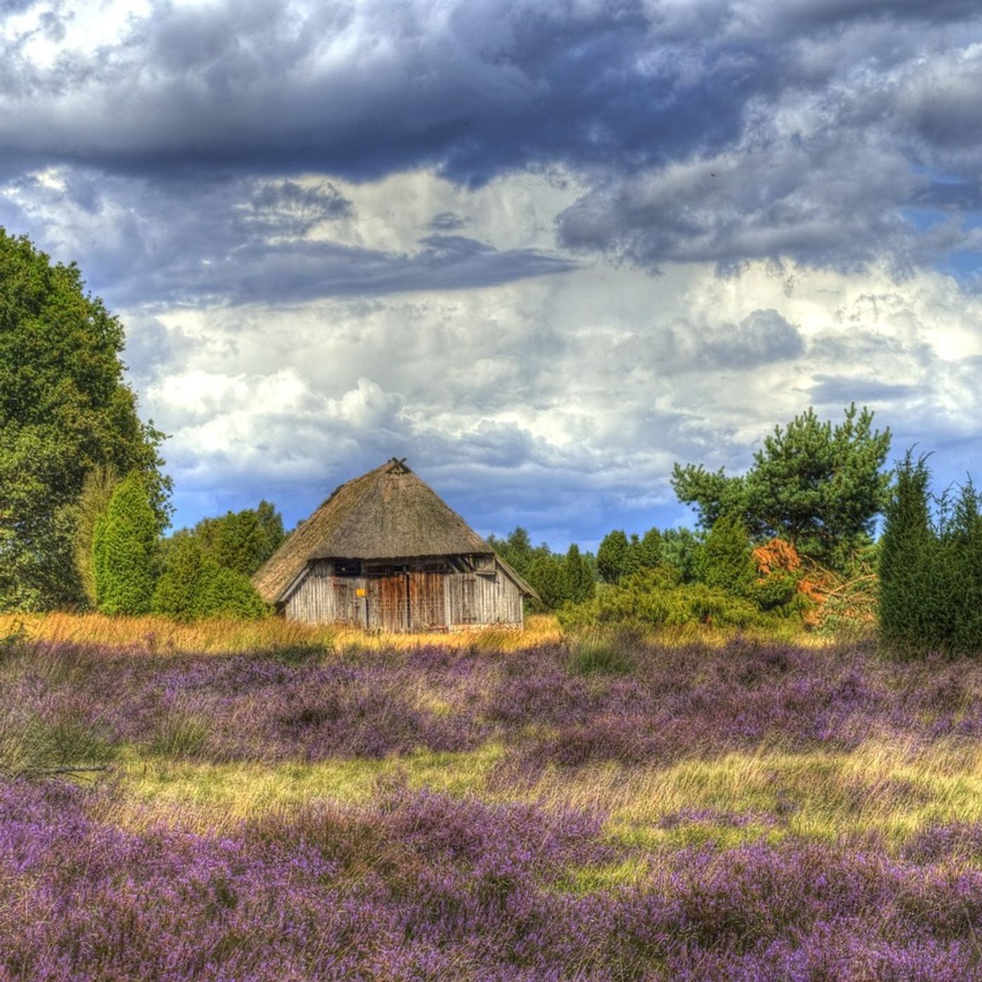 Lande de Lunebourg