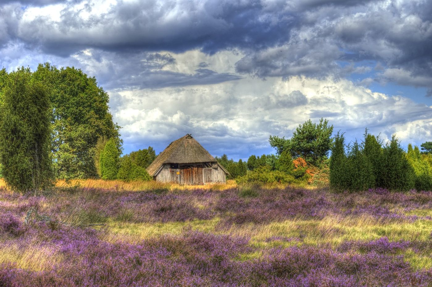 Entdecke
die vielfältige Naturlandschaft.