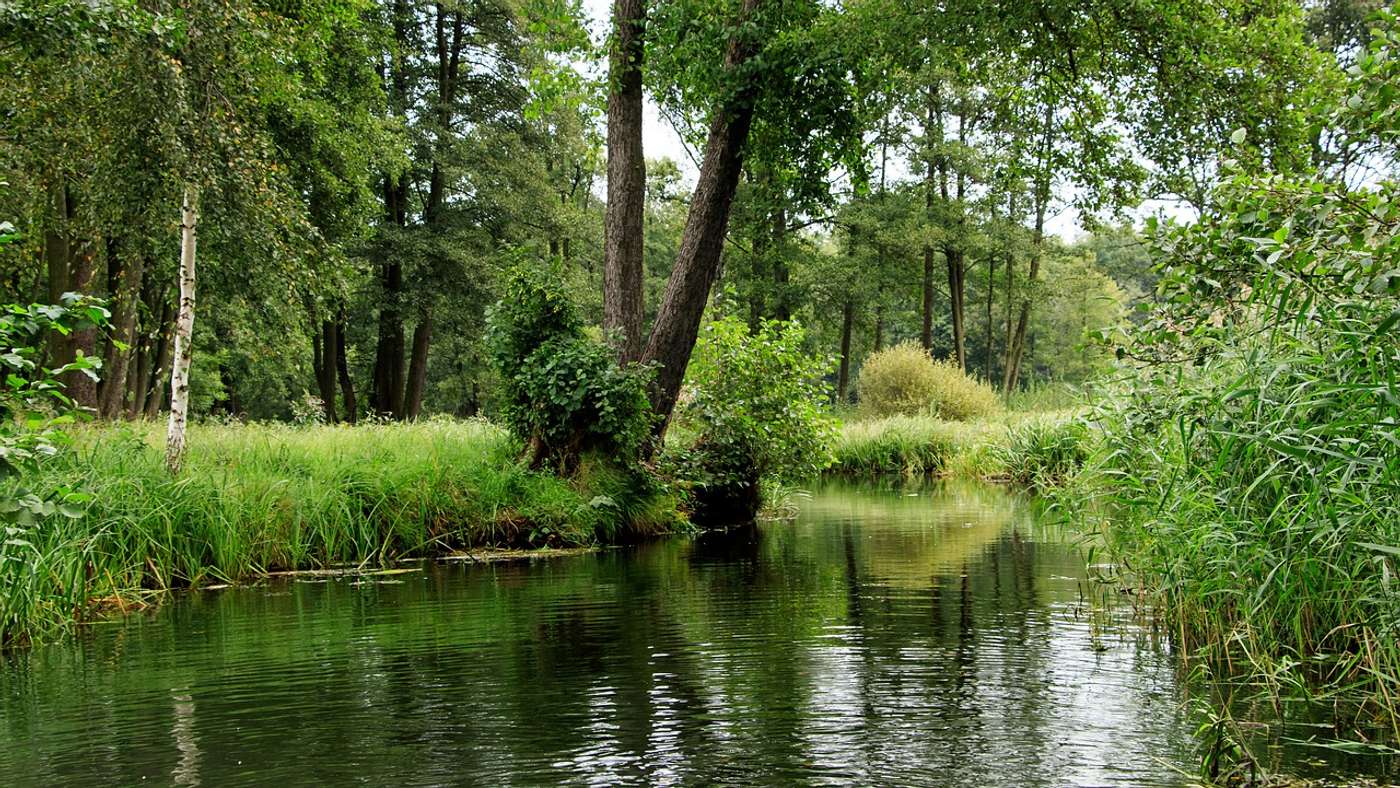 Entdecke
die wasserreichste Region Brandenburgs.