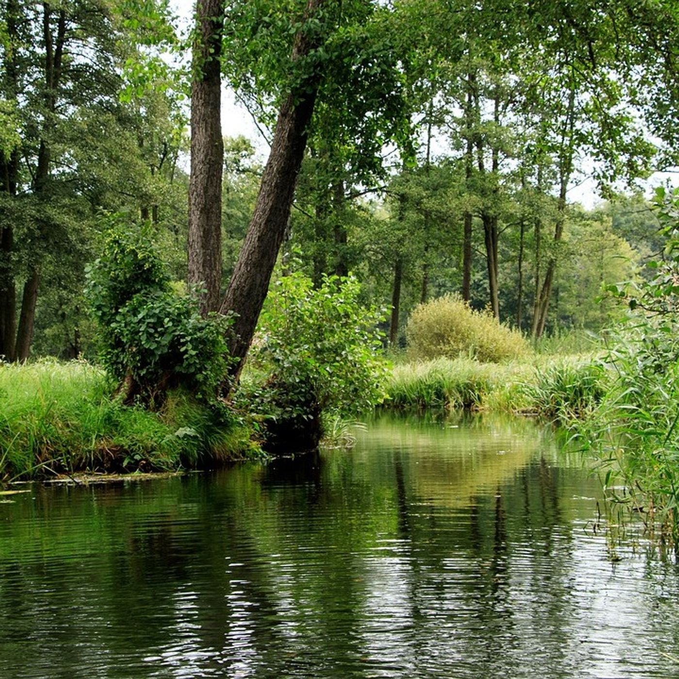 Seenland Oder-Spree