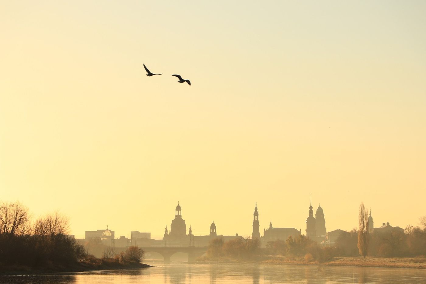 Entdecke
die Flusslandschaft entlang der Weinstraße.