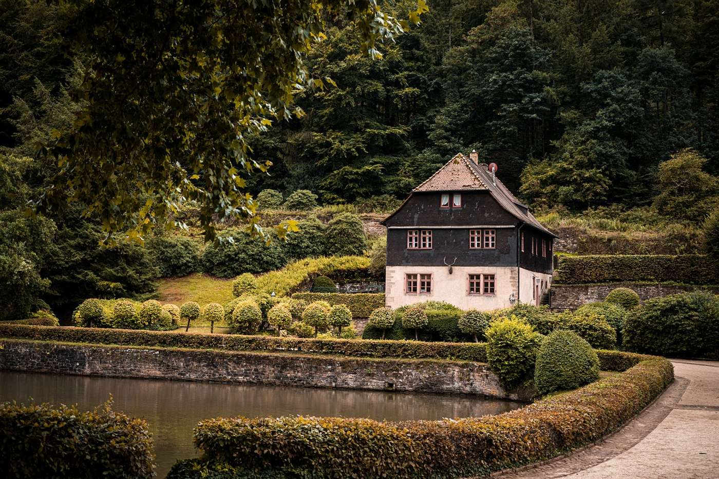 Entdecke
den größten Laubmischwald Deutschlands.