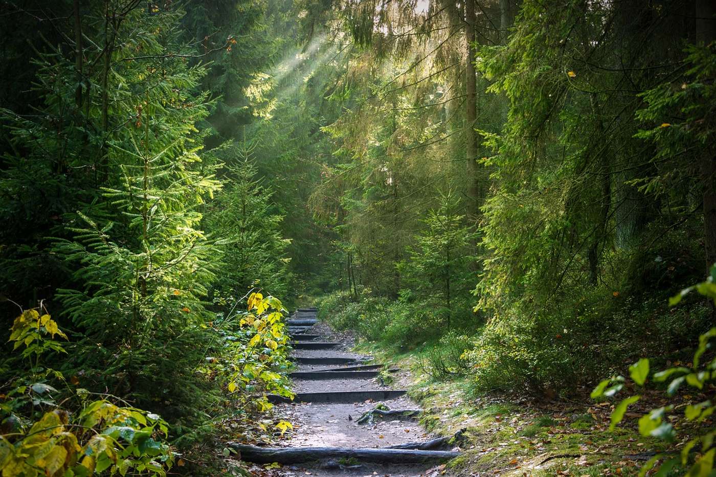 Entdecke
aktiv dein Stück Natur.