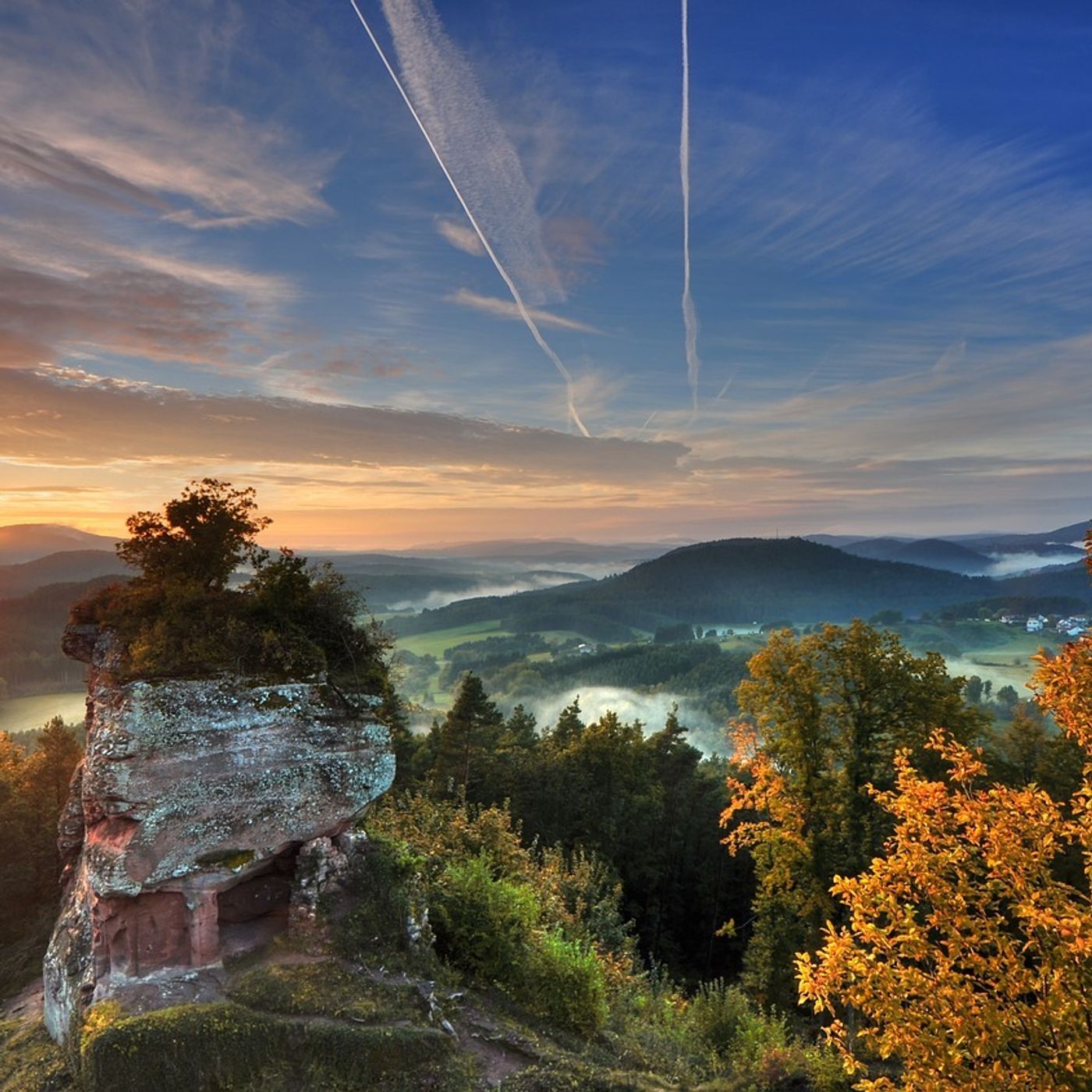 Pfälzer Wald