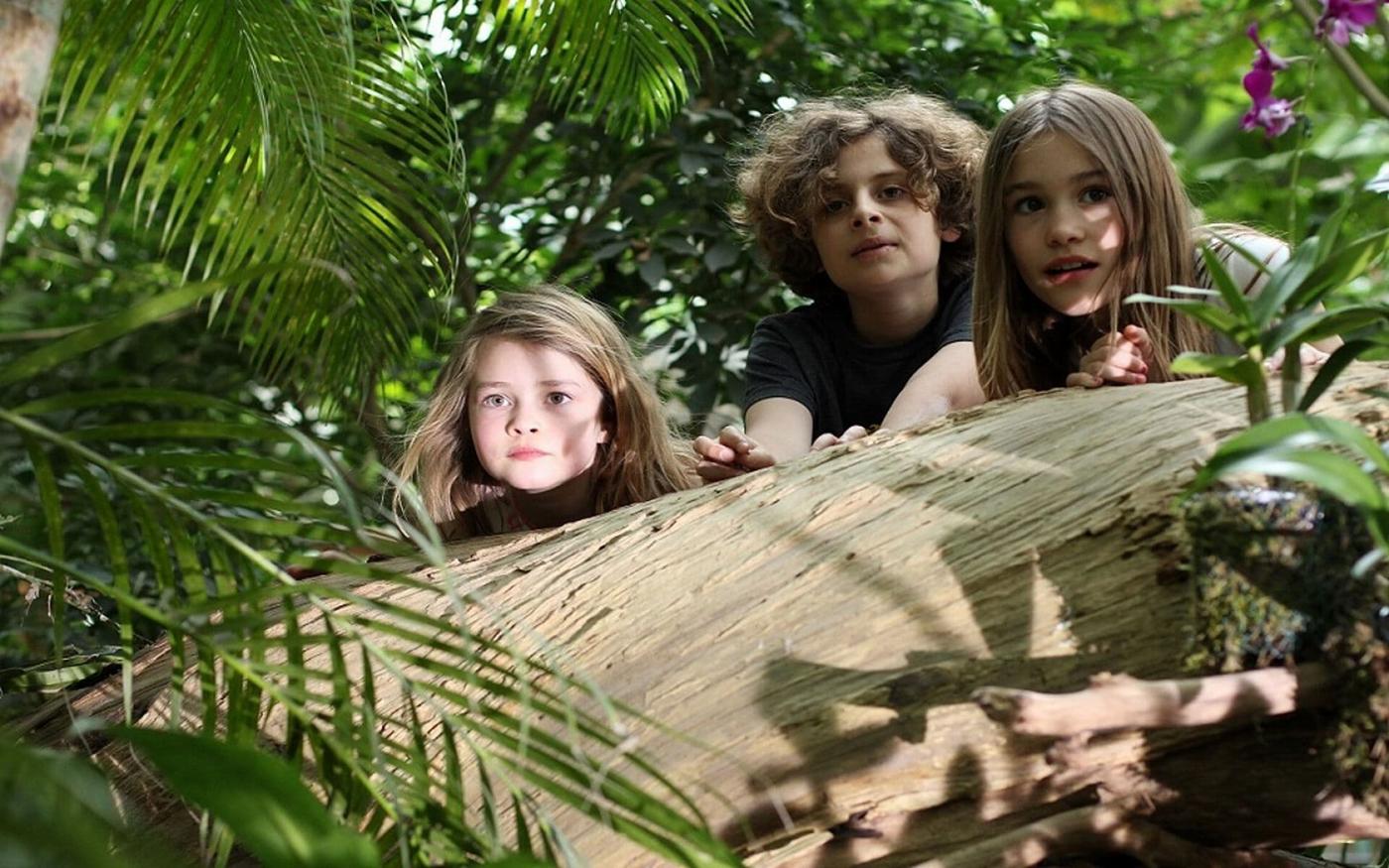 Taschenlampen-Abenteuer