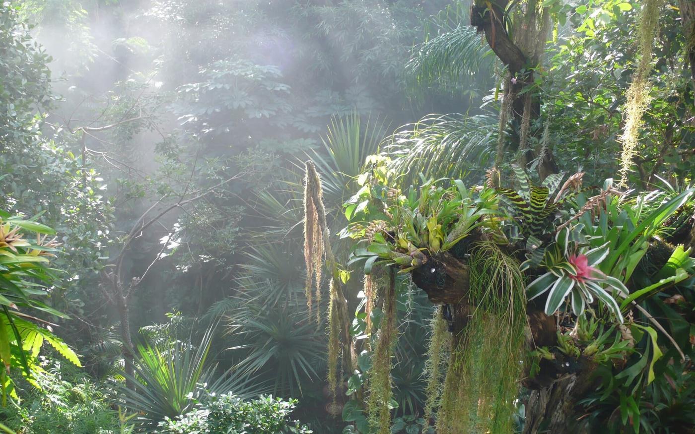 Taschenlampen-Abenteuer