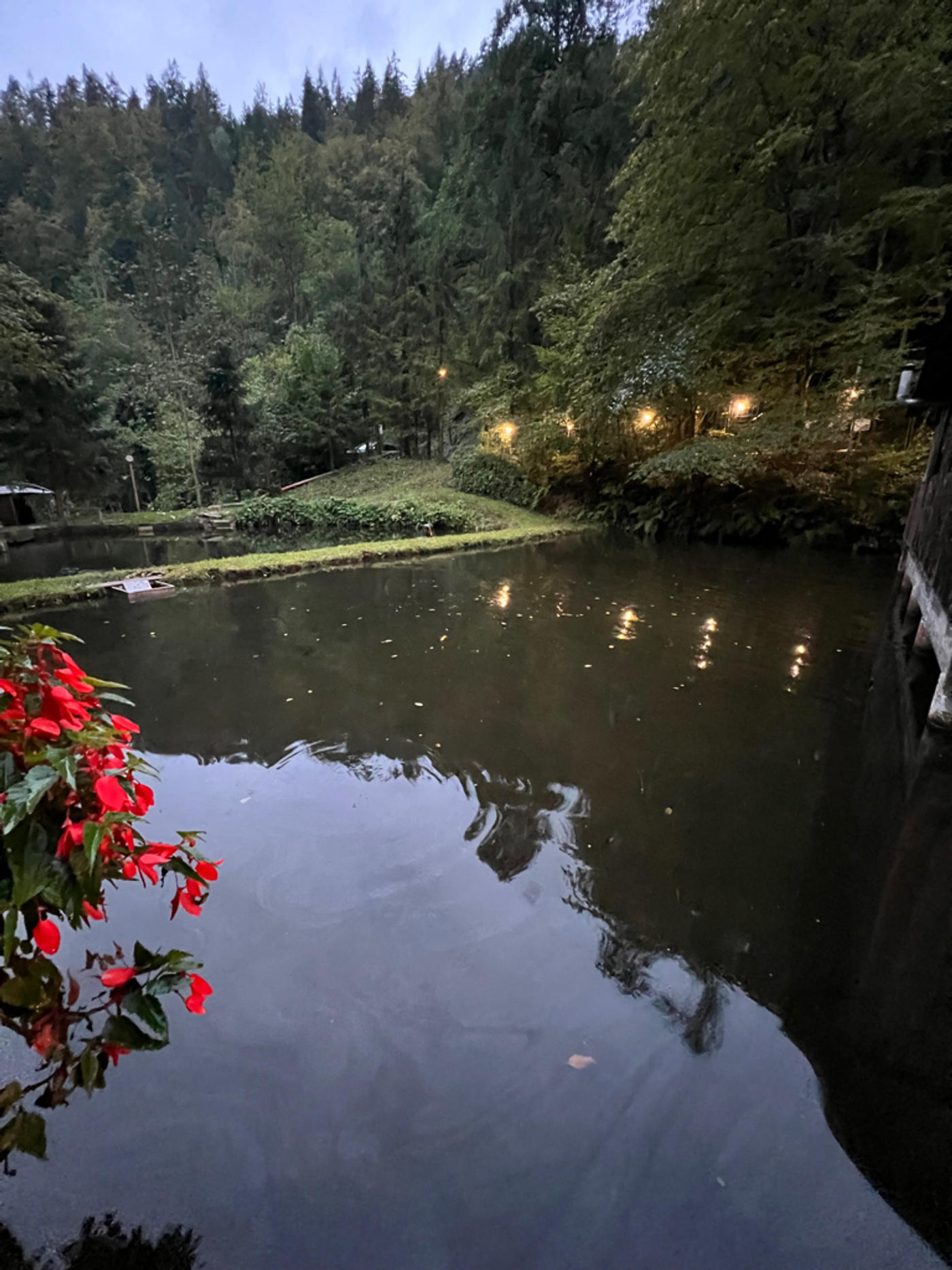 Der Fisch ist das Ziel 🐠