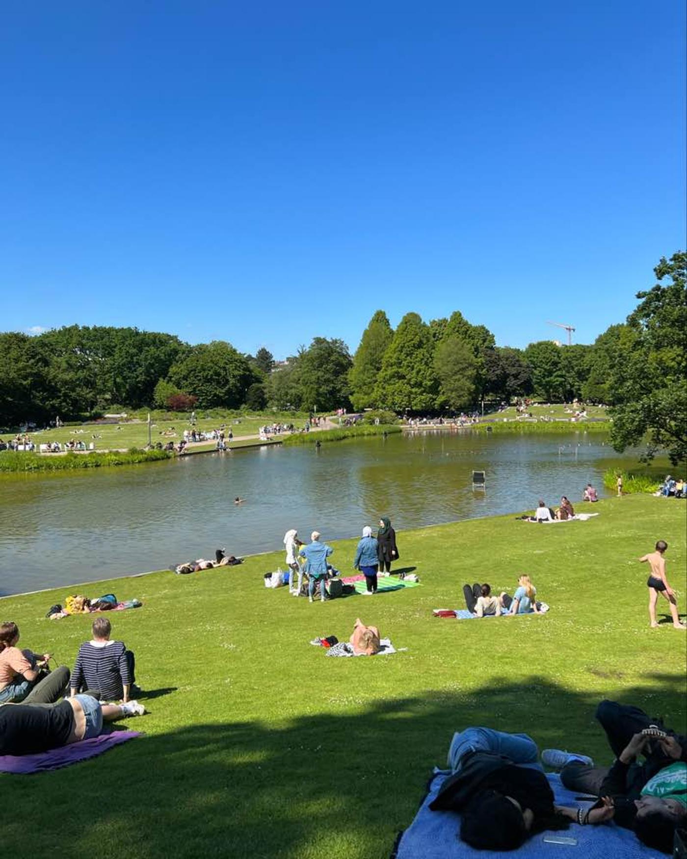 Licht, Wasser und Musik!