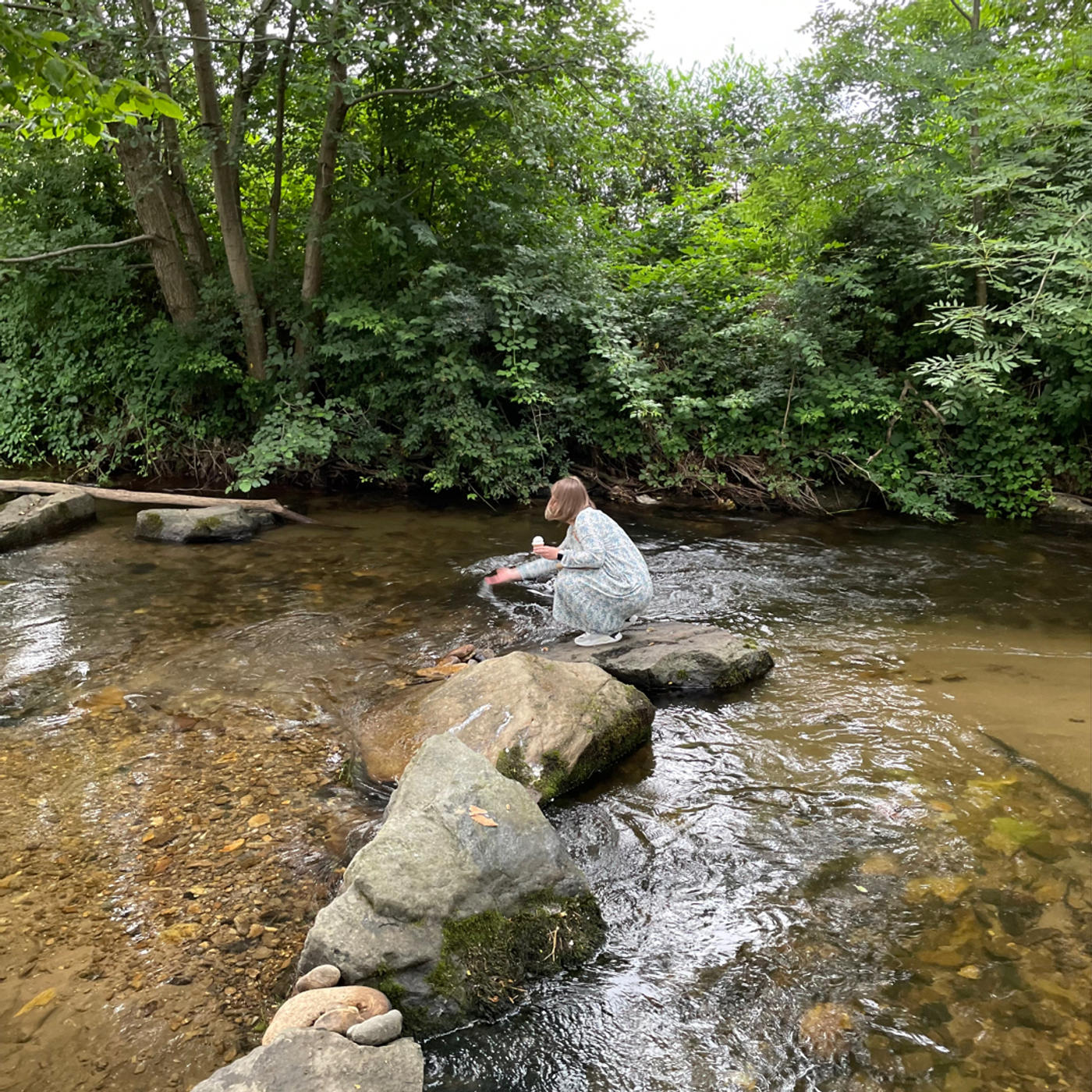Ein leckeres🍦mitten in der Natur 🌊