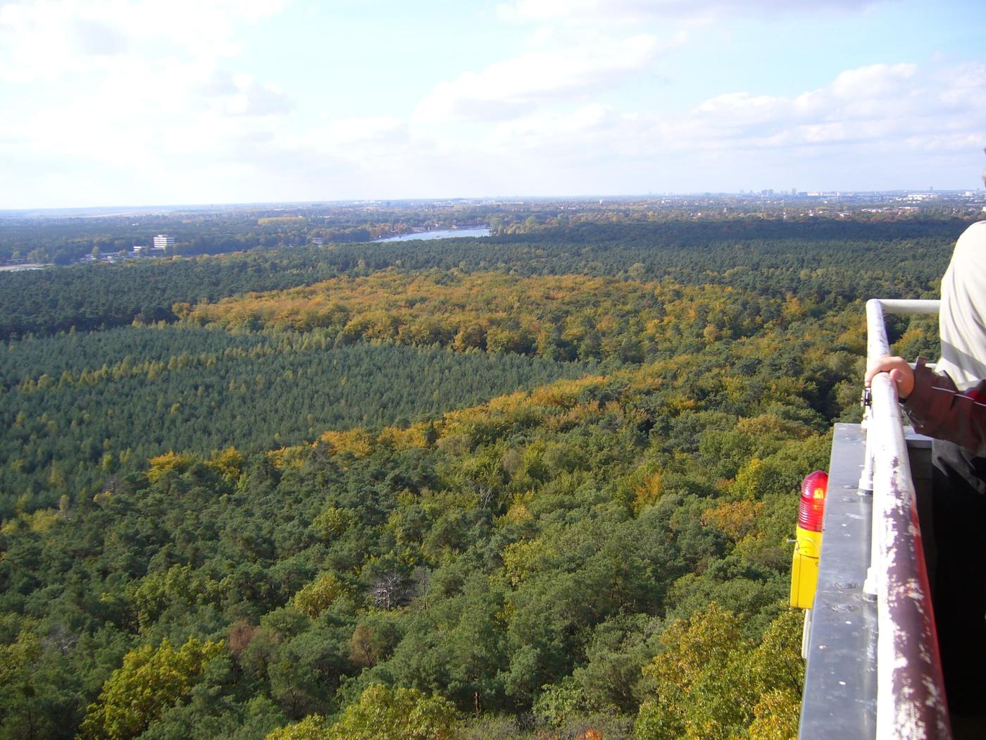Panoramablick am Müggelsee