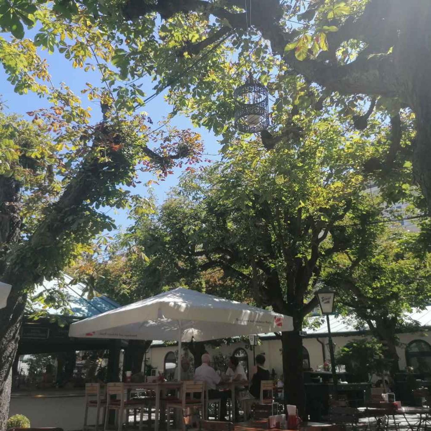 Herrlicher Gastgarten, super schattig! 