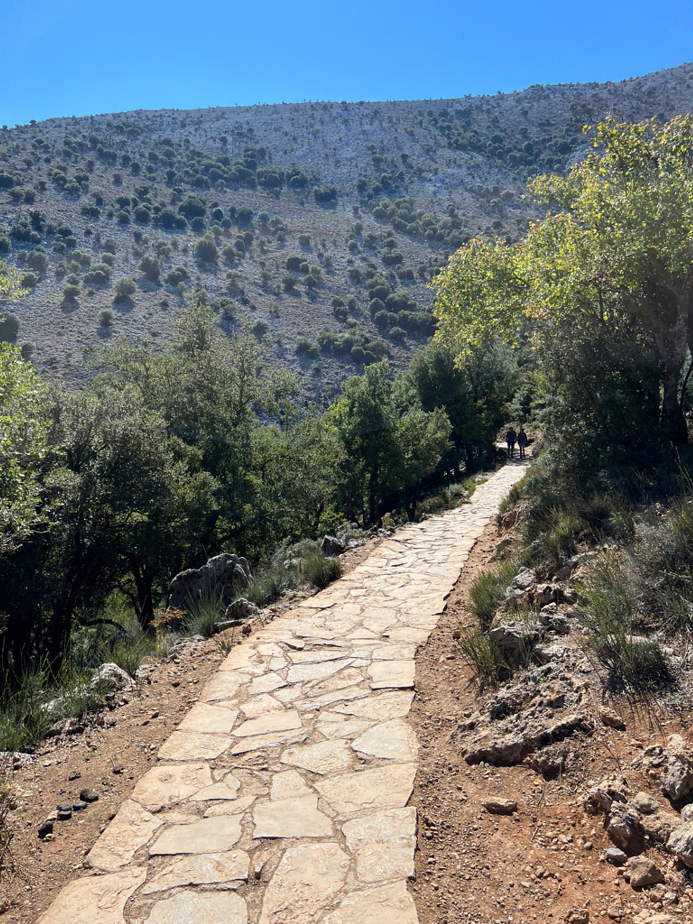 Geburtsstätte von Zeus 