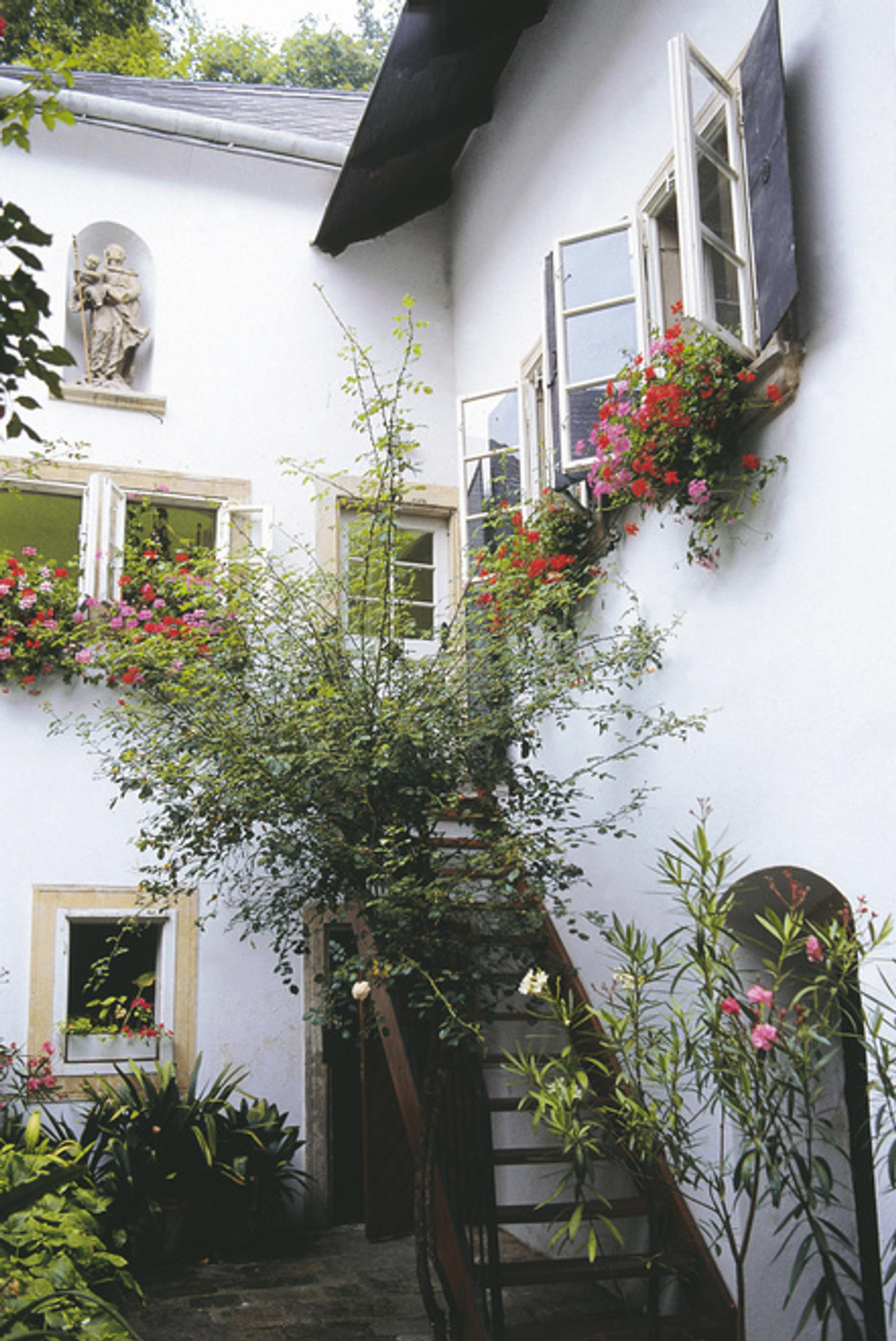 Auf den Spuren des musikalischen Genies