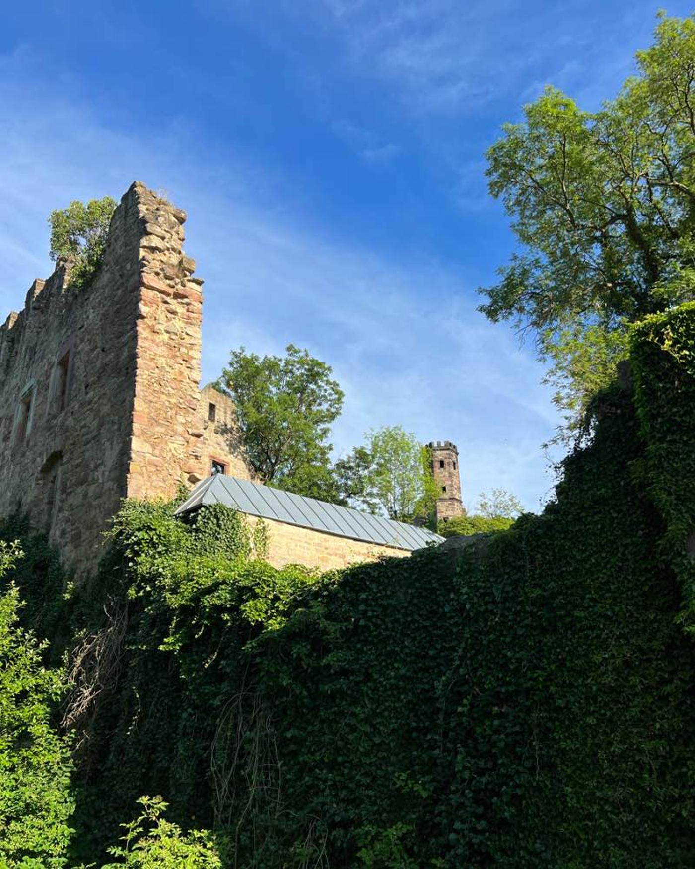 Nicht nur Gin, gibt es in Hardenberg! 