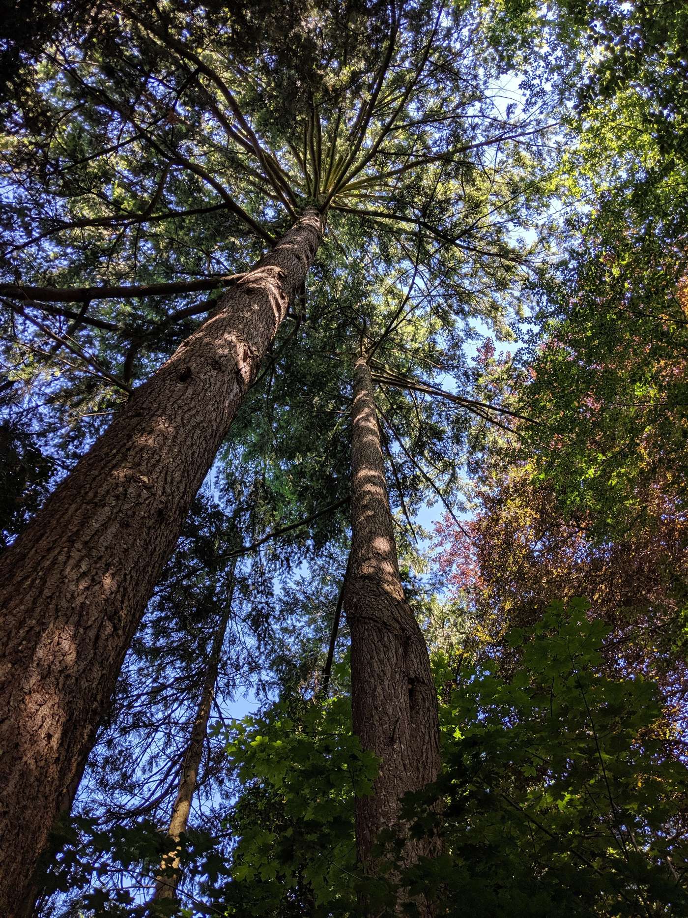 Ein Waldparadies voller Entdeckungen