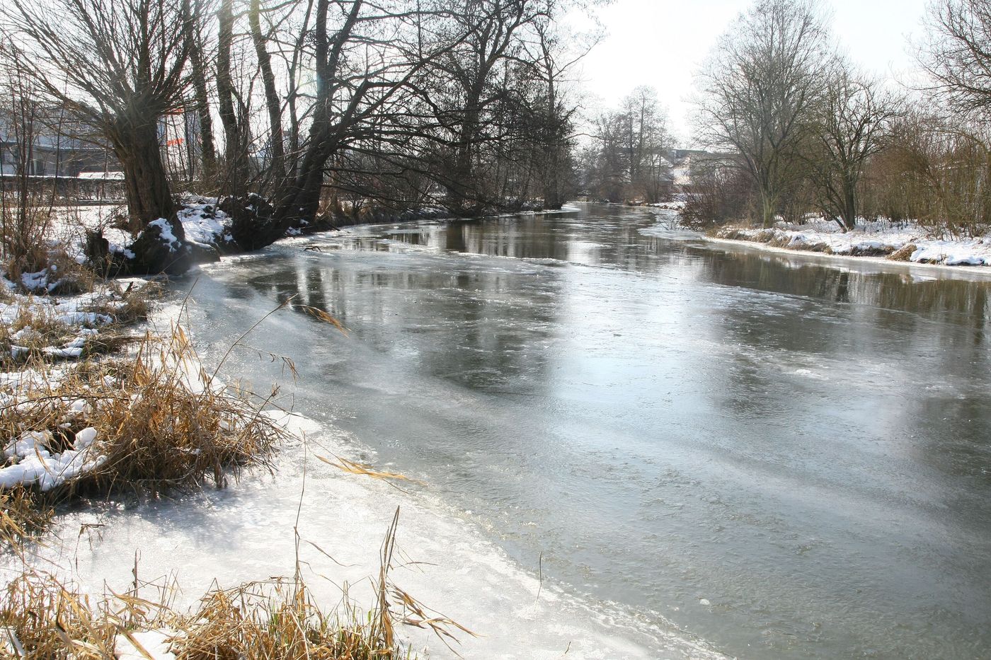 Naturgenuss am Wasser