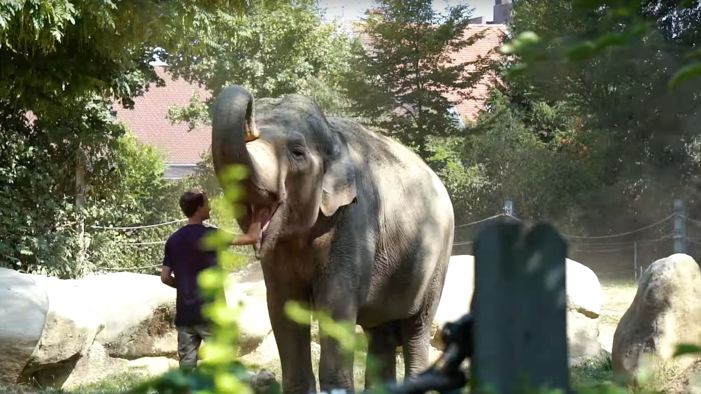 Zoo Augsburg: Einmal durch die Tierwelt