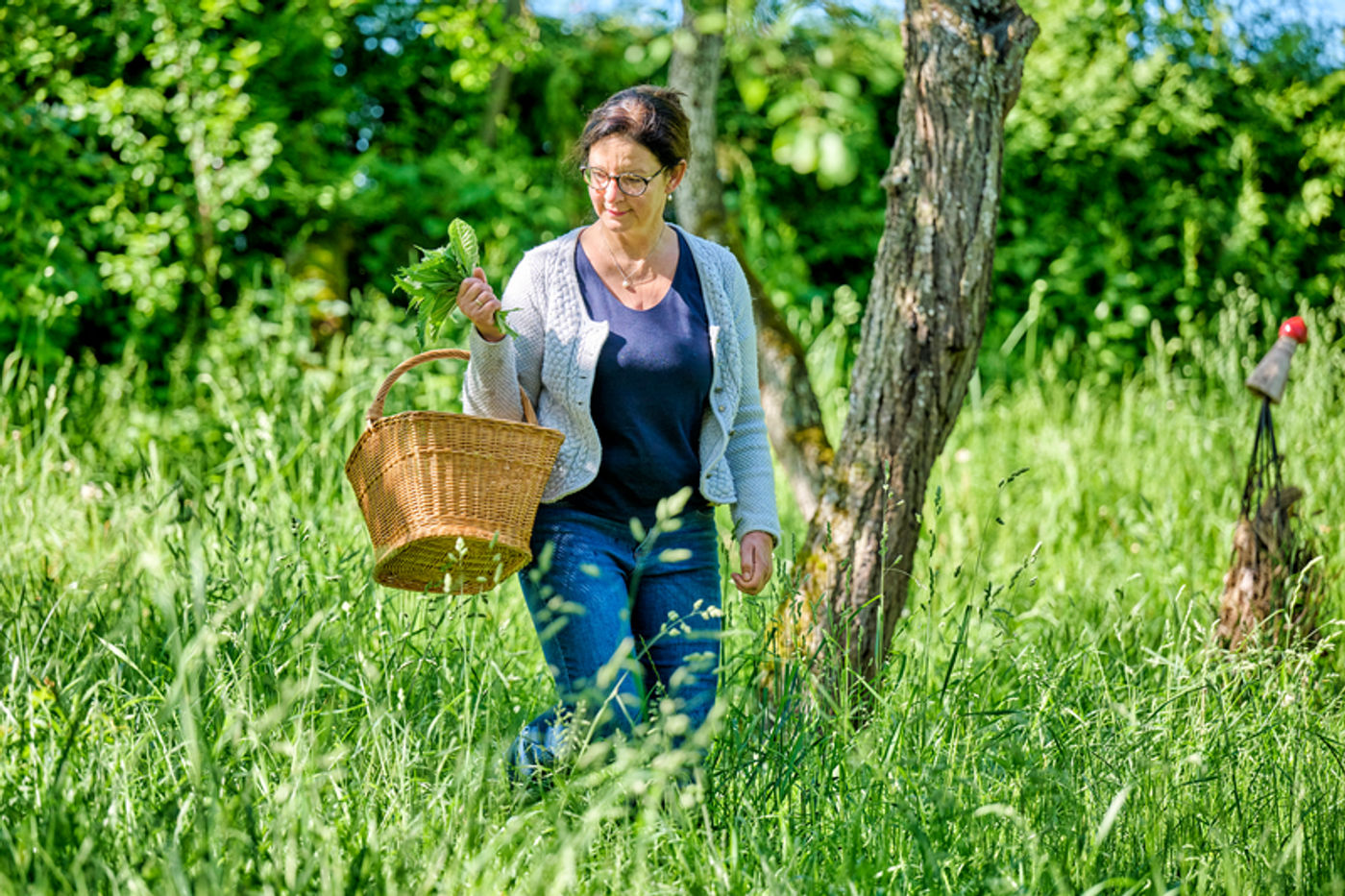 Lehrreiche Wanderung durch die Natur