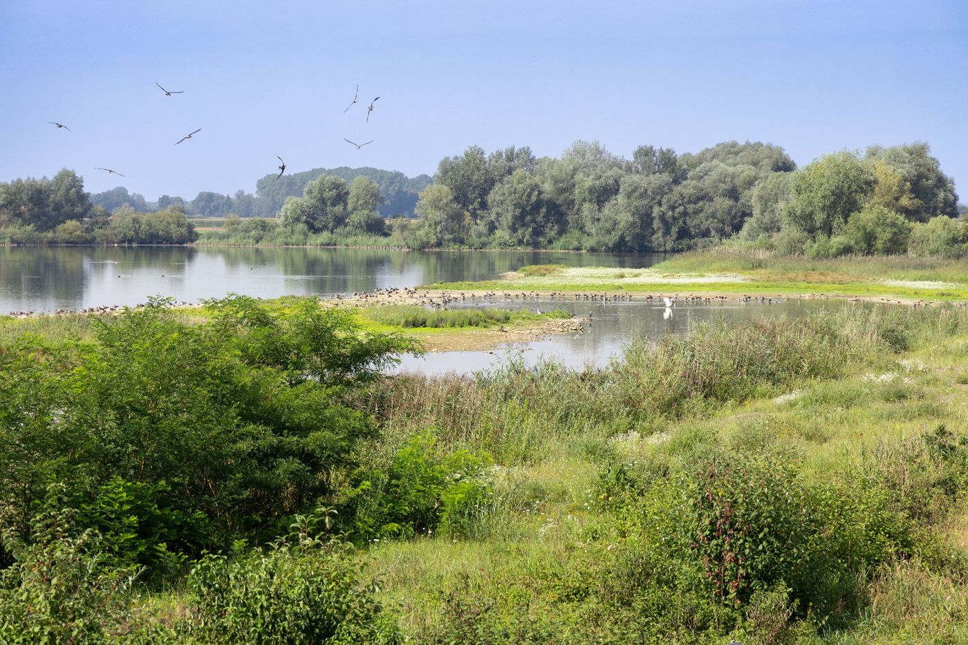 Ein Refugium der Ruhe und Natur