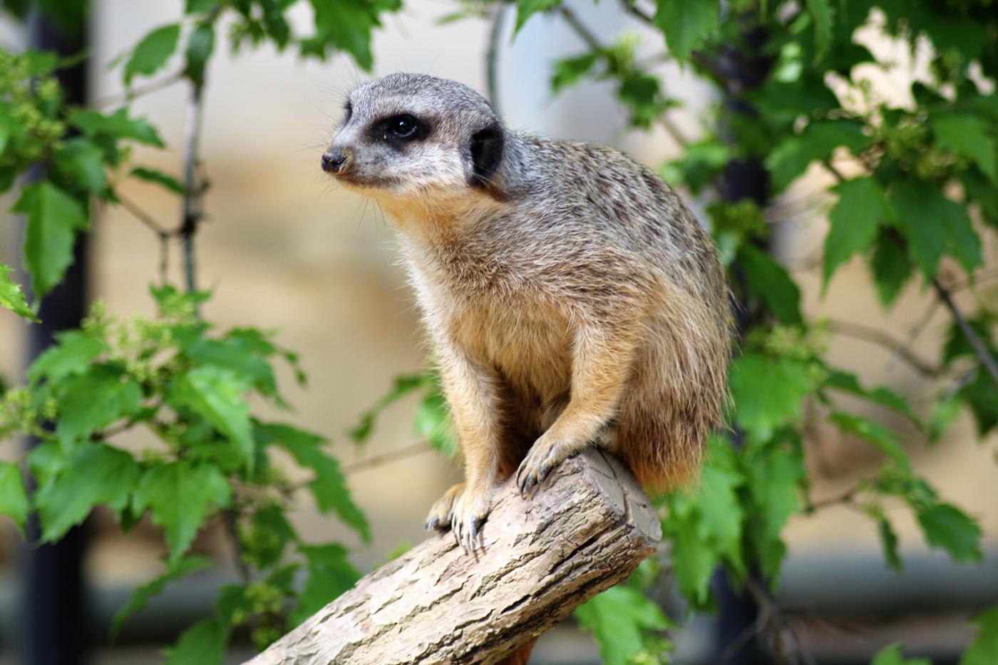 Familienausflug in den Augsburger Zoo